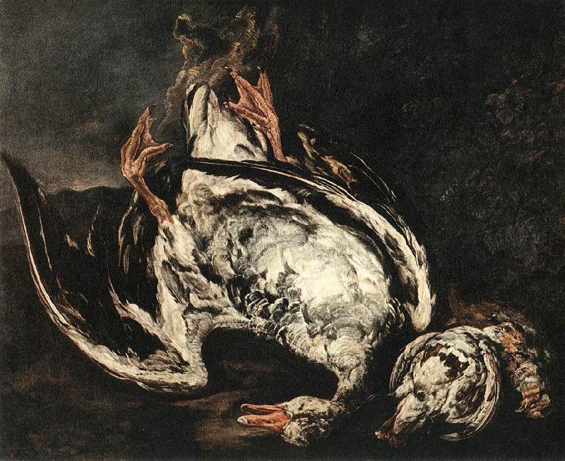 BOEL, Pieter Still-Life with Dead Wild-Duck gfh oil painting picture